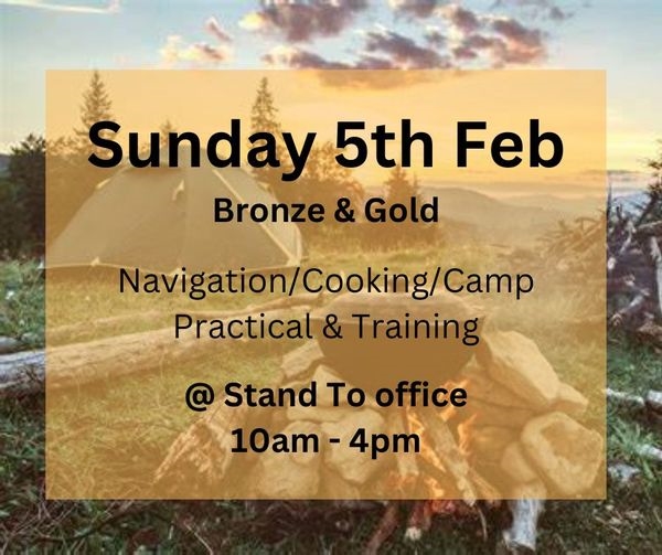 Bronze & Gold Training